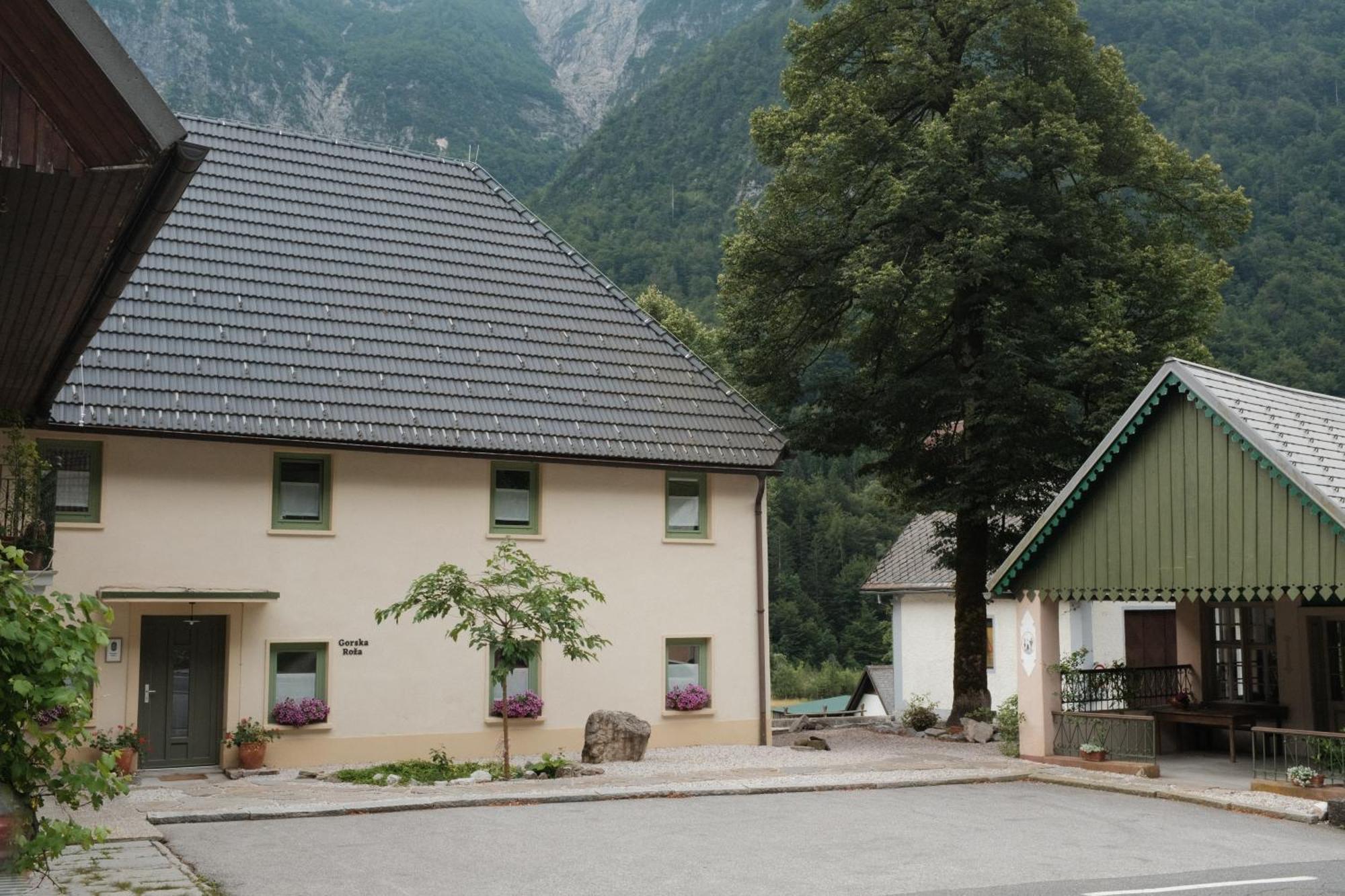 Gorska Roza Bed & Breakfast Log pod Mangartom Eksteriør bilde
